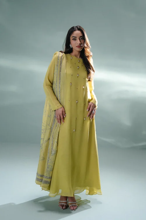 Barsul Dress